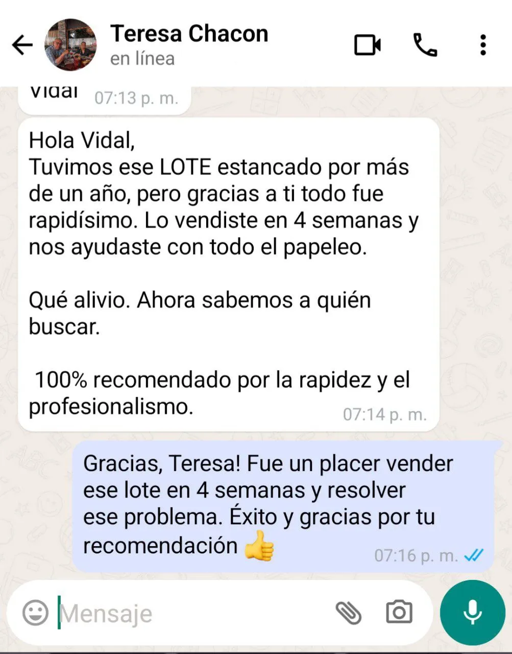 VIDAL Bienes Raíces 10